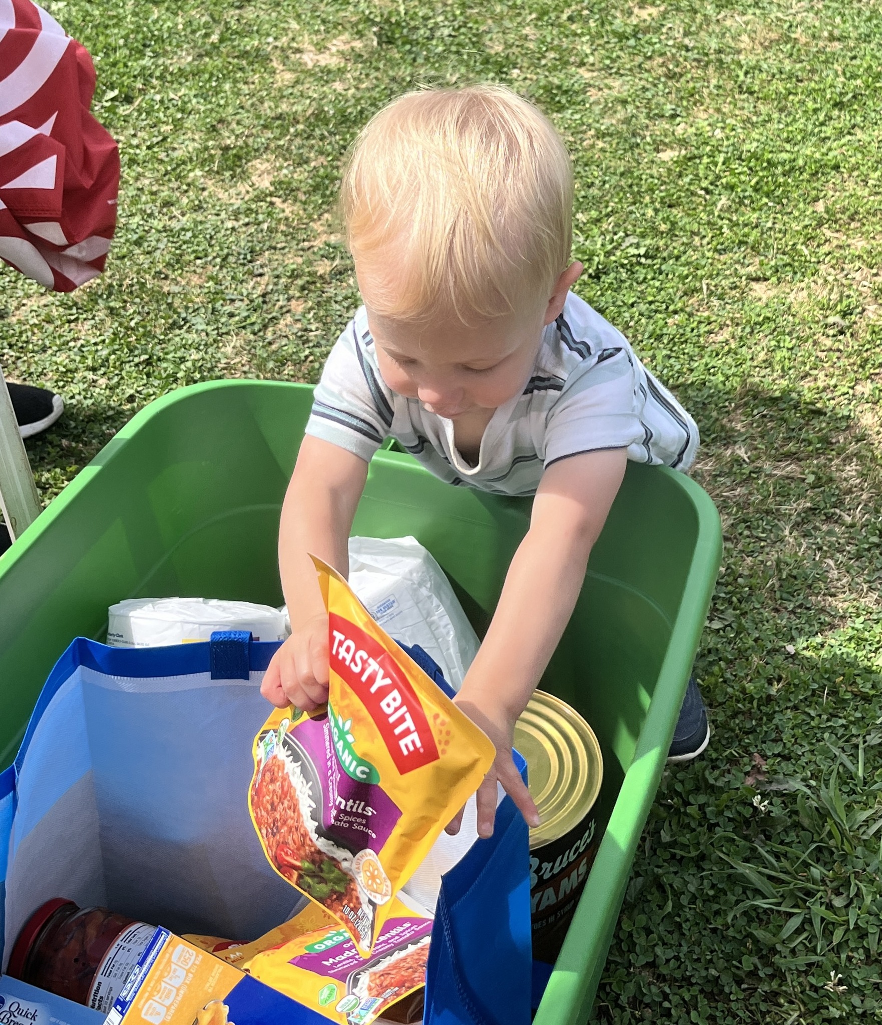 Toddler helping with donations